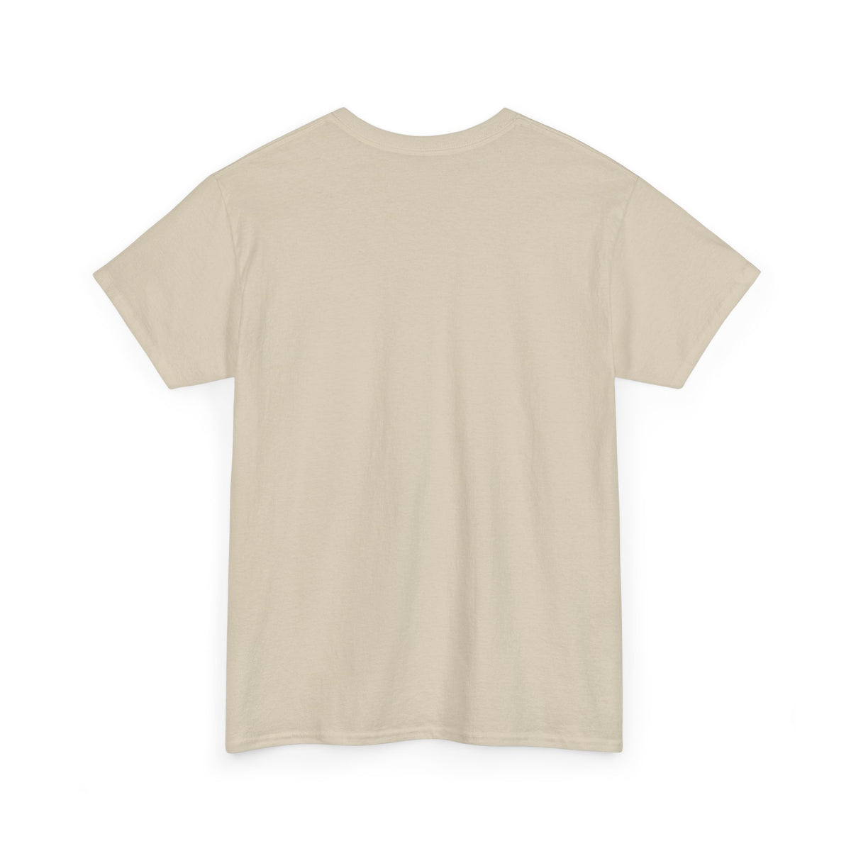 Christmas Santa Sleigh T-Shirt